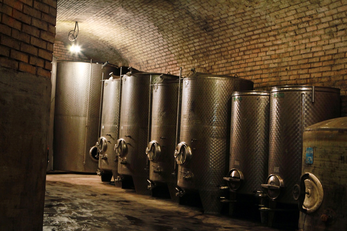 WEIN5050