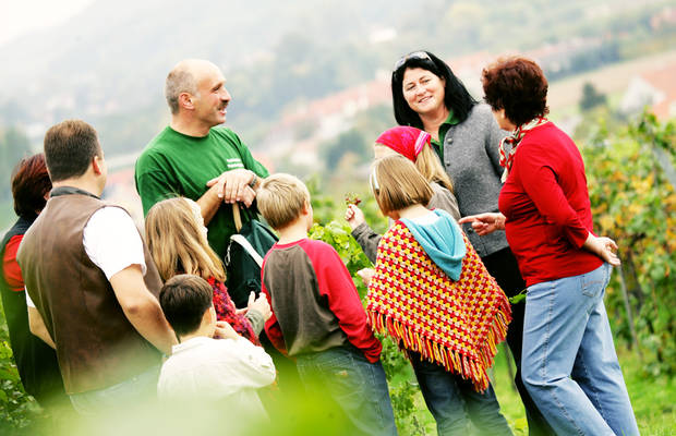 csm_TD__Traisenthaler_Weinbegleiter2_c_Tourismusverband_und_Weinstrasse_Traisental_08c5015f17